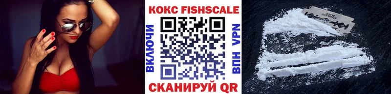 COCAIN Эквадор  OMG зеркало  Славгород  наркота 