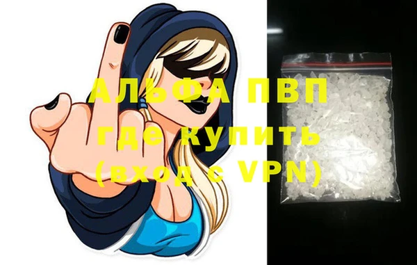 стафф Иннополис
