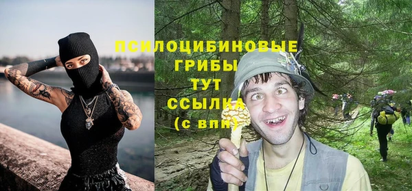 стафф Иннополис