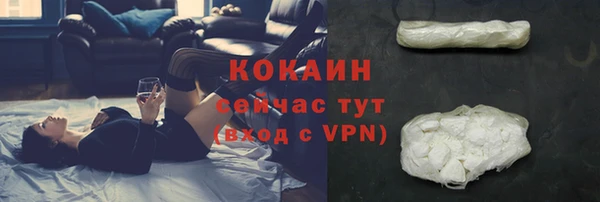 стафф Иннополис