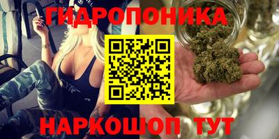 гашик Заводоуковск