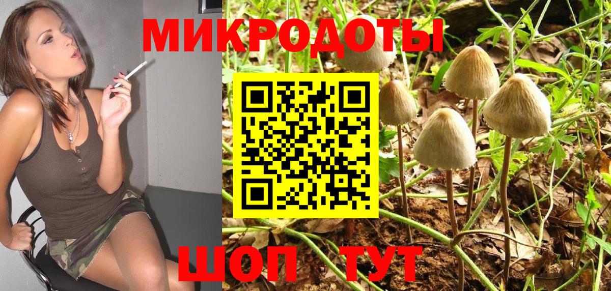 Галлюциногенные грибы ЛСД  цена наркотик  Славгород 
