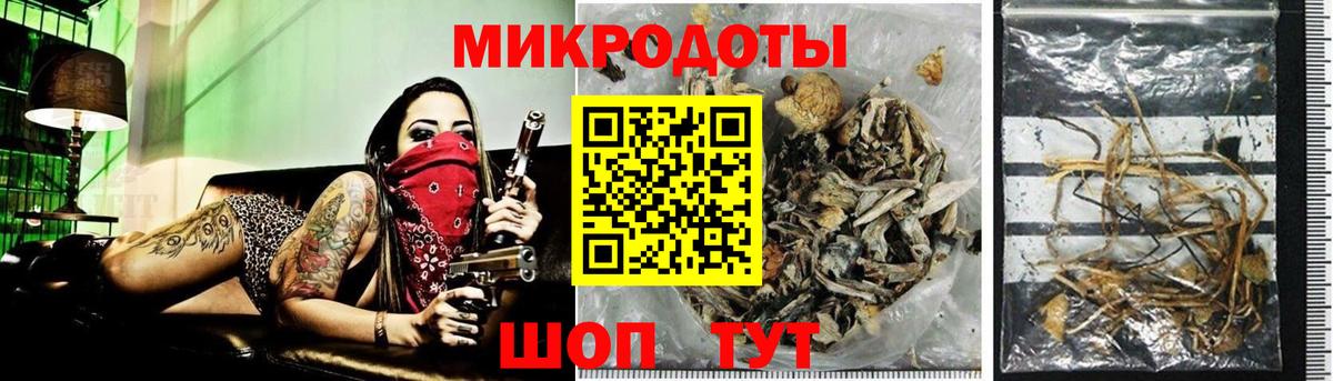 Псилоцибиновые грибы прущие грибы Славгород