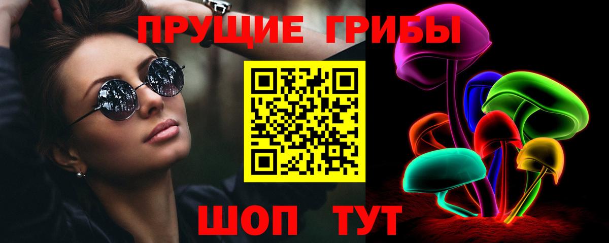 Галлюциногенные грибы GOLDEN TEACHER  как найти наркотики  Славгород  Вход с VPN 
