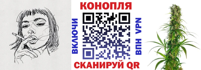 Марихуана Amnesia  продажа наркотиков  shop клад  Славгород 